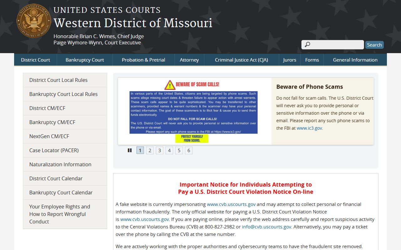 Cass County Circuit Court federal court access context